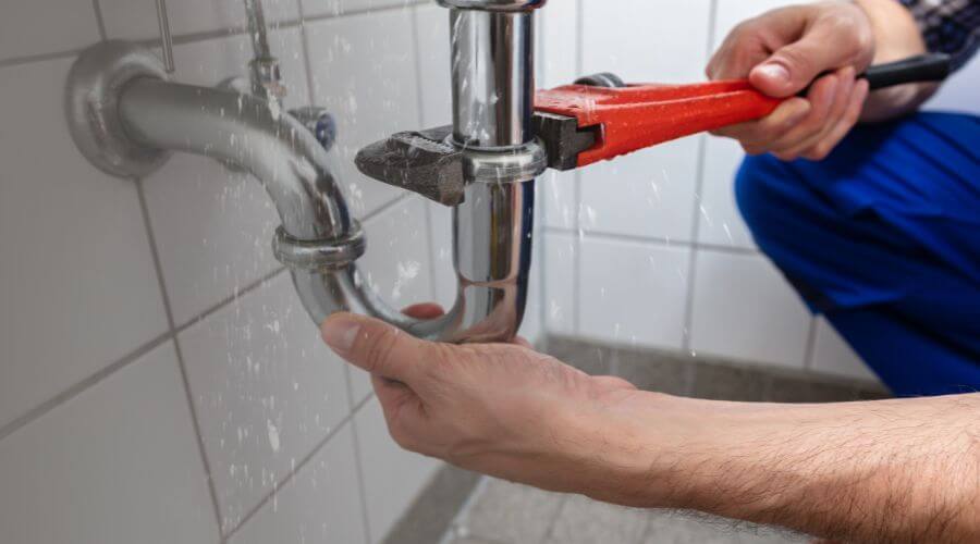 Professional Leak Detection services in Mirando City, TX